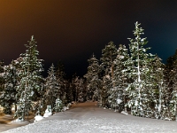 Ruka